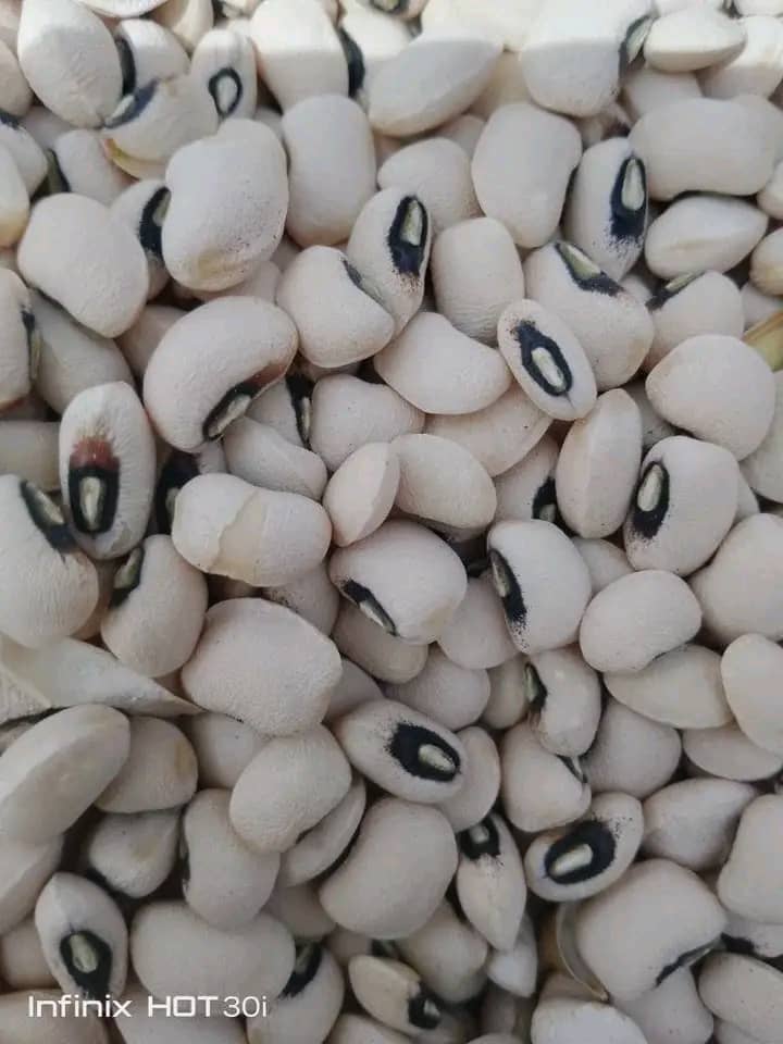Product beans